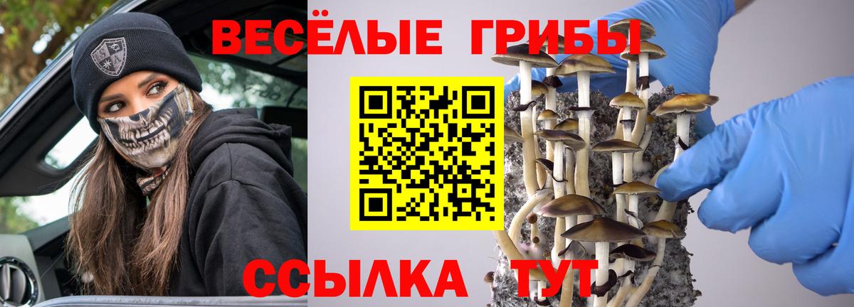 Набережные Челны  Псилоцибиновые грибы MAGIC MUSHROOMS  Вход с VPN 